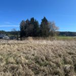 Man sieht zwar nicht die Kammel, aber links die "kritische" Sägemühle und rechts die Straße, die das Streckenende markiert. Die Straße rechts im Bild markiert die Reviergrenze Süd